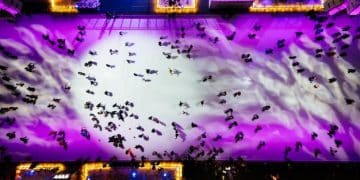 The Rise of eSports: Competitive Gaming's Mainstream Phenomenon - Cover Image