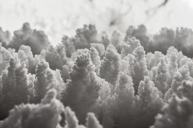 A bleached coral reef, stark white and devoid of marine life, serving as a visual representation of climate change's destructive impact.