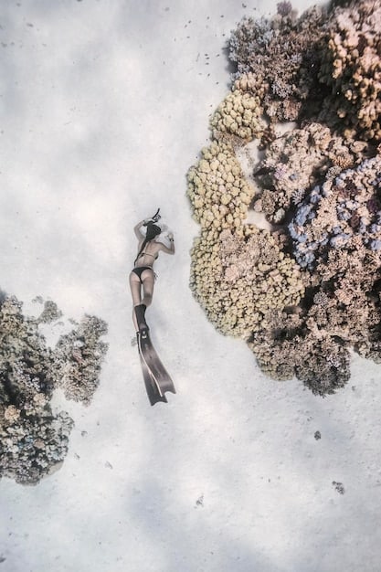 A research diver meticulously attaching a small coral fragment to a reef structure in a clear, healthy-looking ocean, symbolizing hope and active restoration.