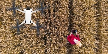 AI in Agriculture: Optimizing Crop Yields and Reducing Pesticide Use by 15% - Cover Image