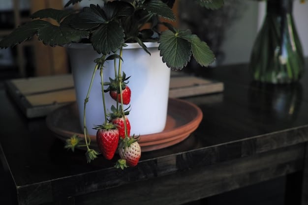 A close-up shot of a robotic arm delicately picking a ripened strawberry in an indoor vertical farm, illuminated by purple LED grow lights.